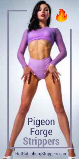 Pigeon Forge strippers delivered to your vacation rental